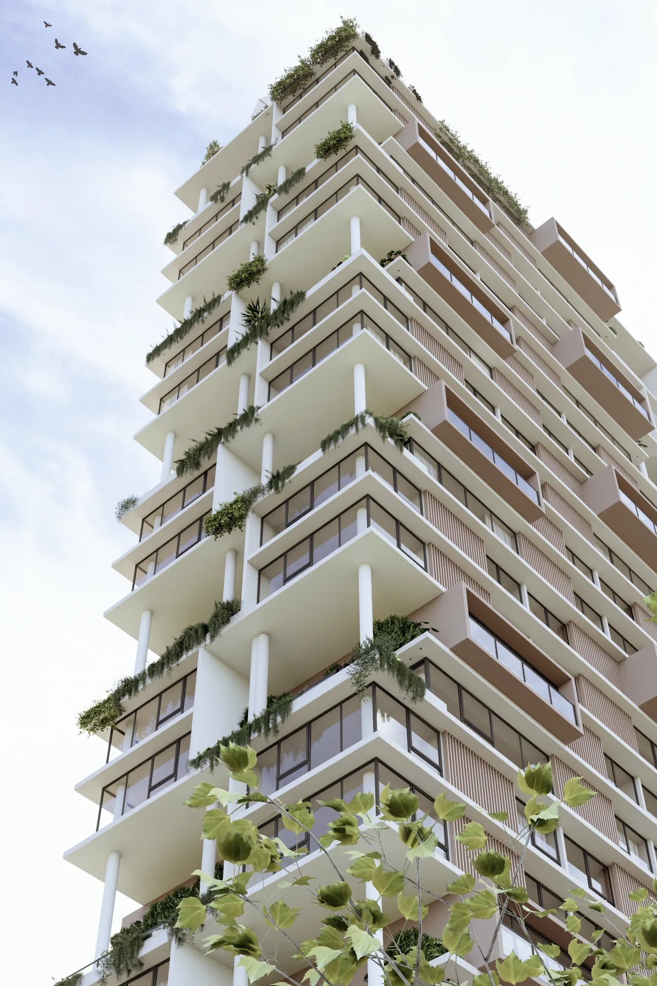 Videiras - Vista Externa